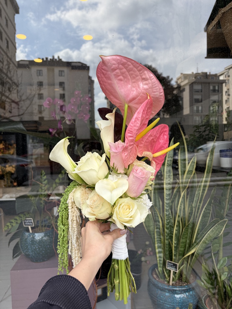 Anthurium gala gül
