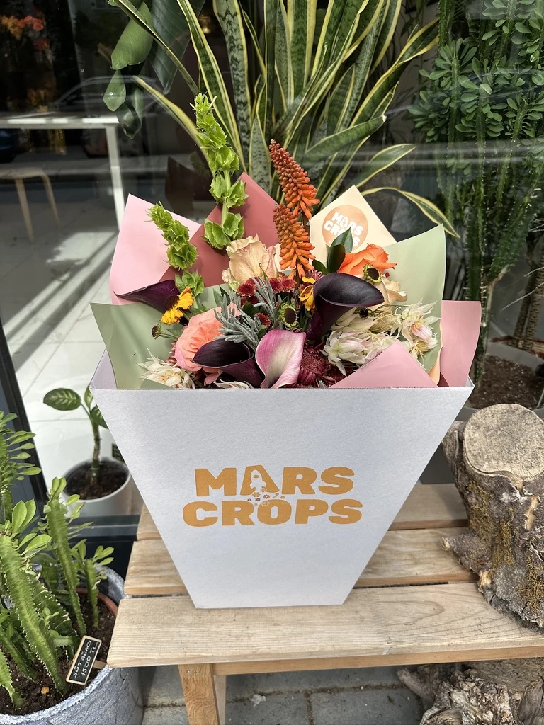 Baten Kutuda Çiçek