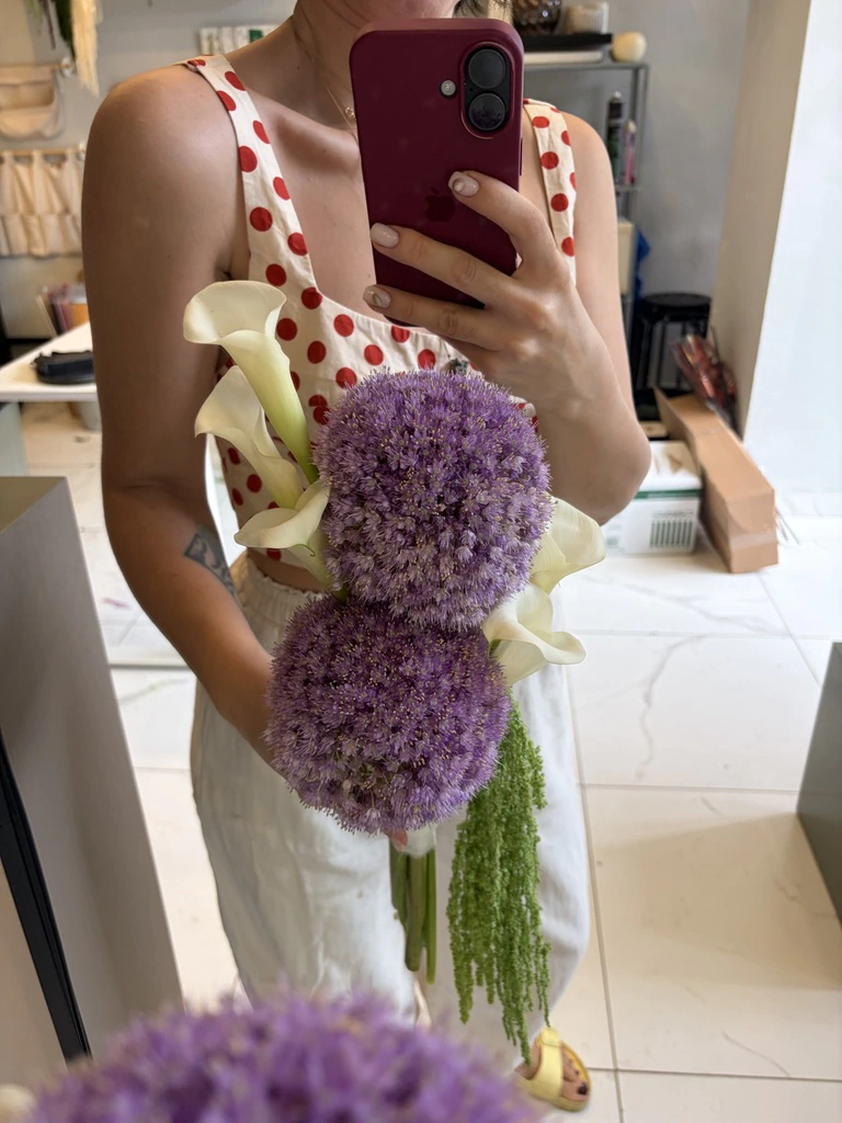 Allium gala
