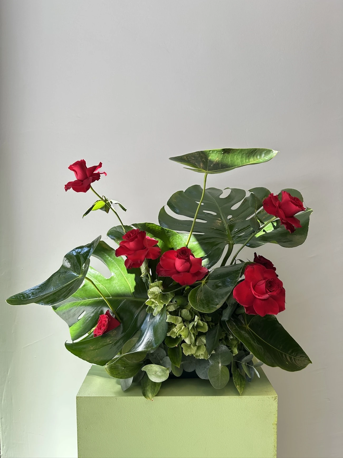 Asellus Vazo Aranjmanı