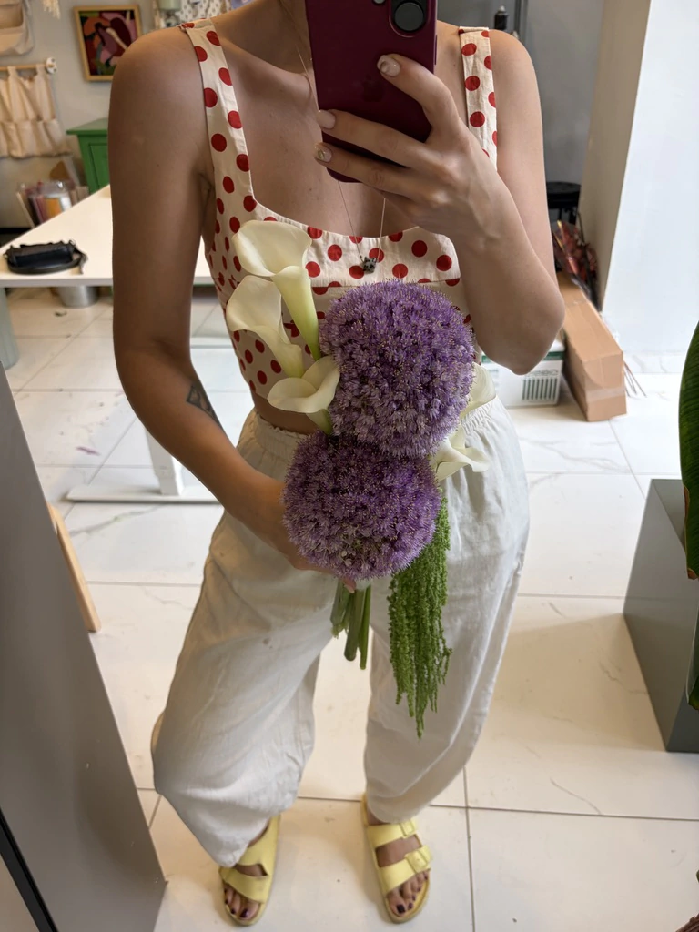 Allium gala