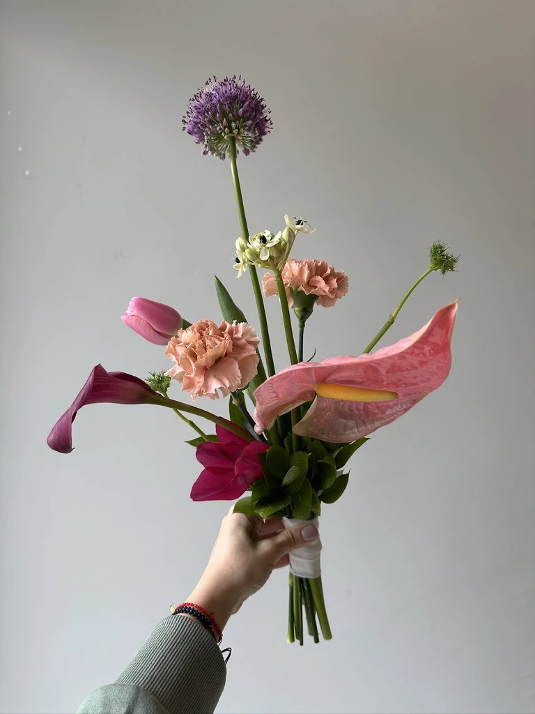 Allium gala anthurium