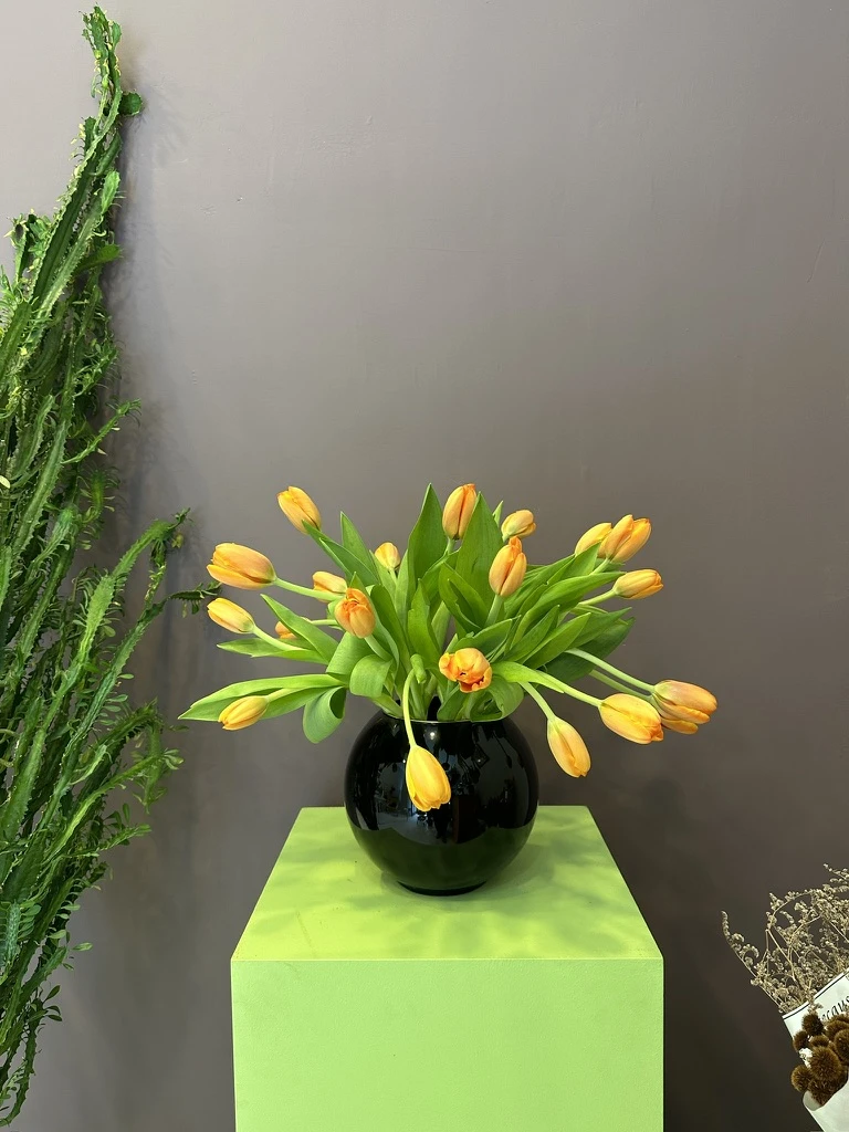 Askella Vazo Aranjmanı