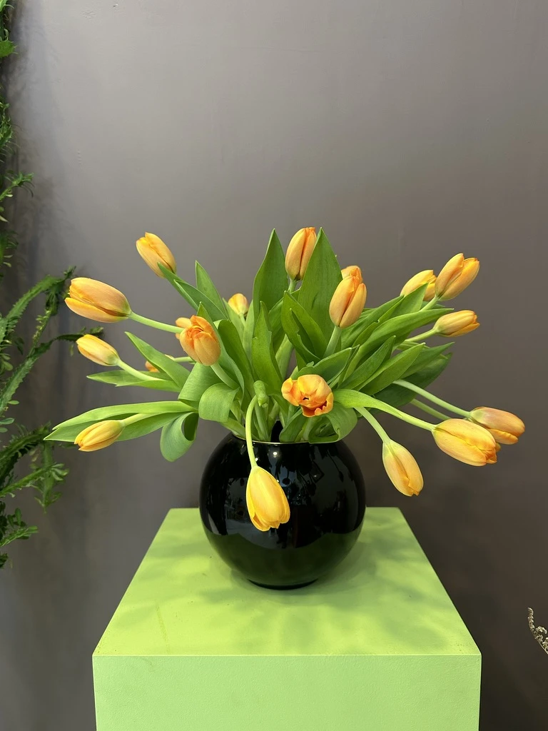 Askella Vazo Aranjmanı