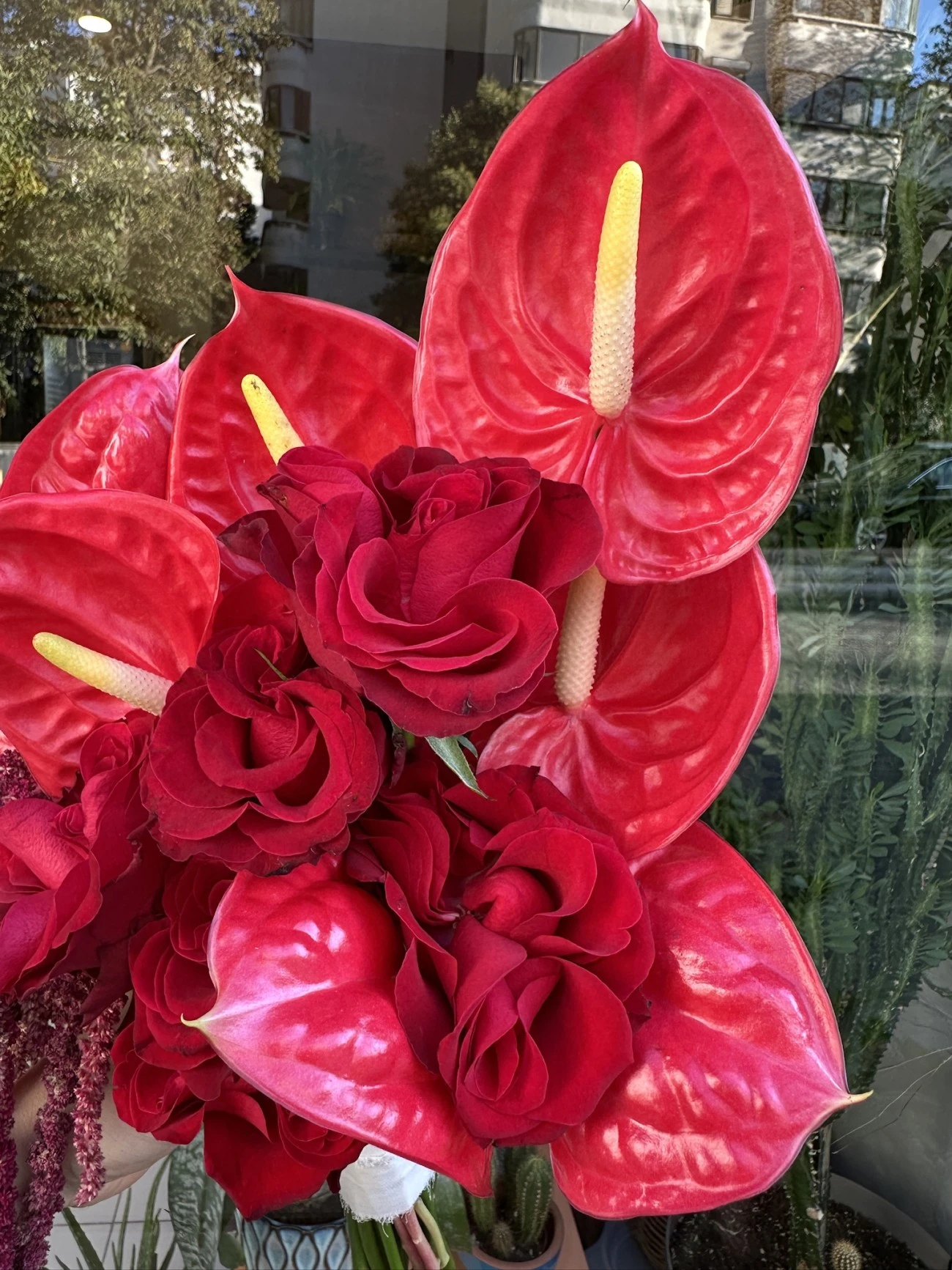 Gül Anthurium Buketi kırmızı