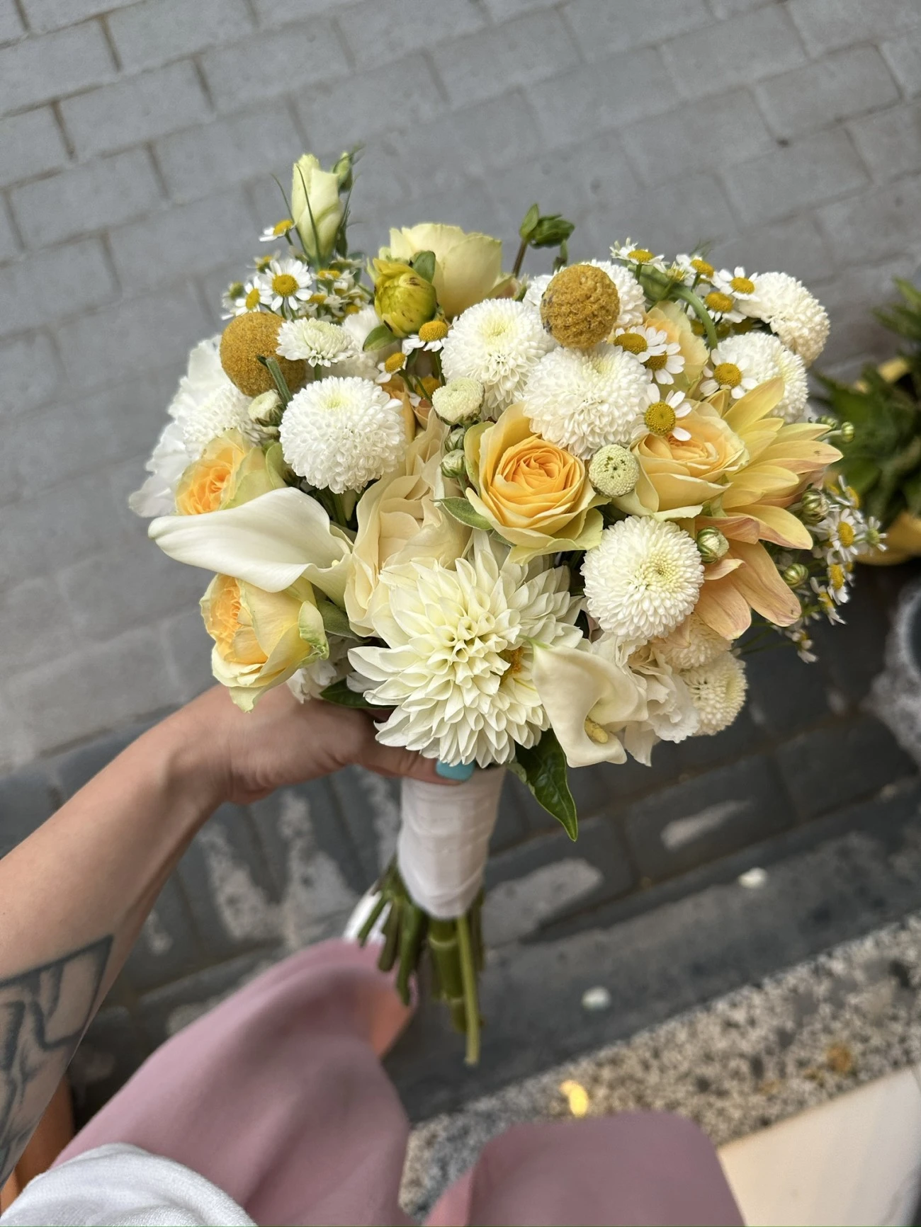 Gül Krizantem Craspedia