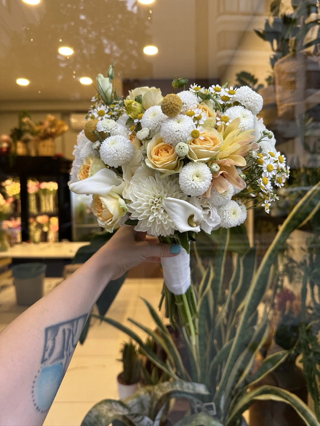 Gül Krizantem Craspedia