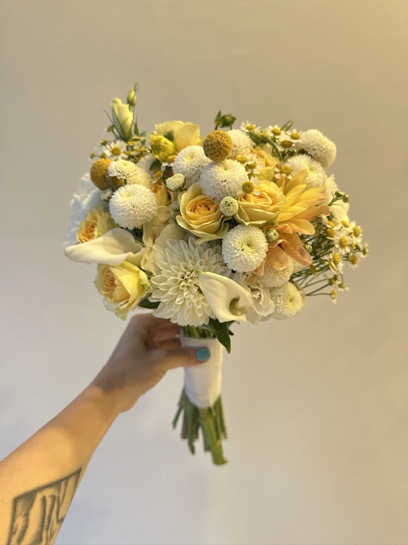 Gül Krizantem Craspedia