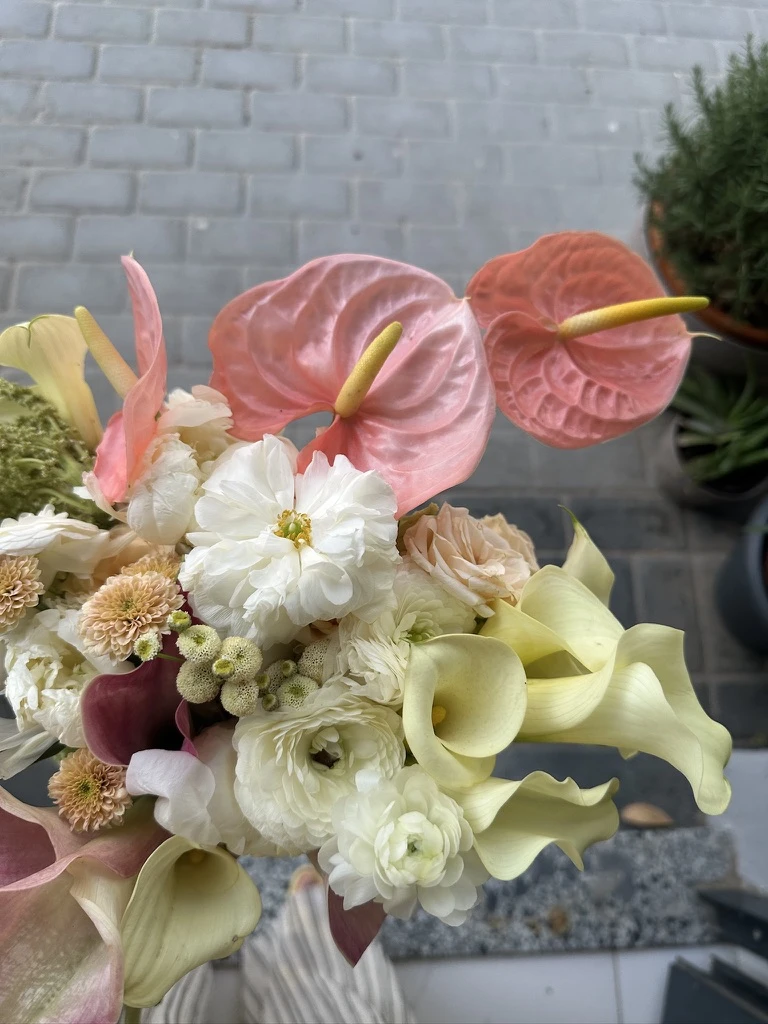 Gala Anthurium Amarantus Buketi