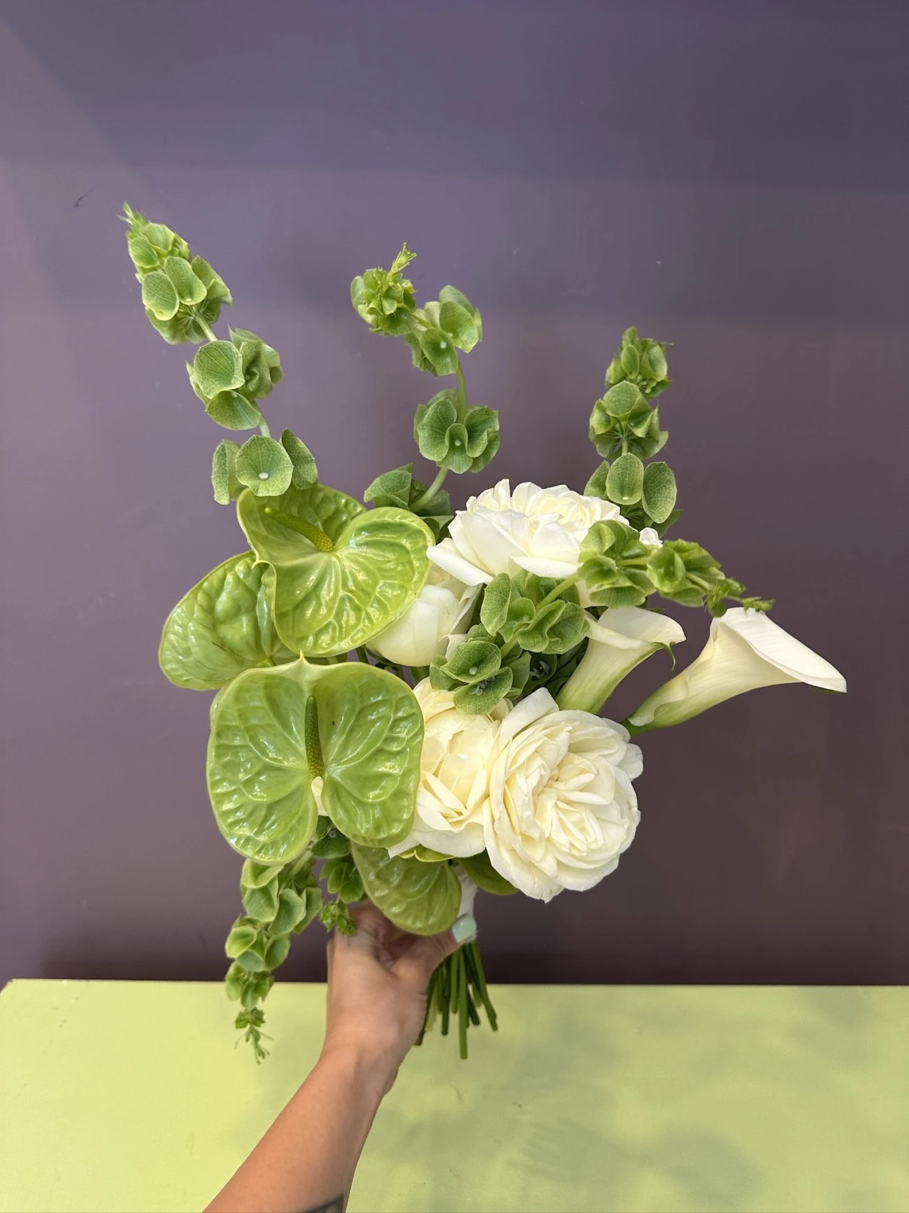 Gala Anthurium Molucello Buketi