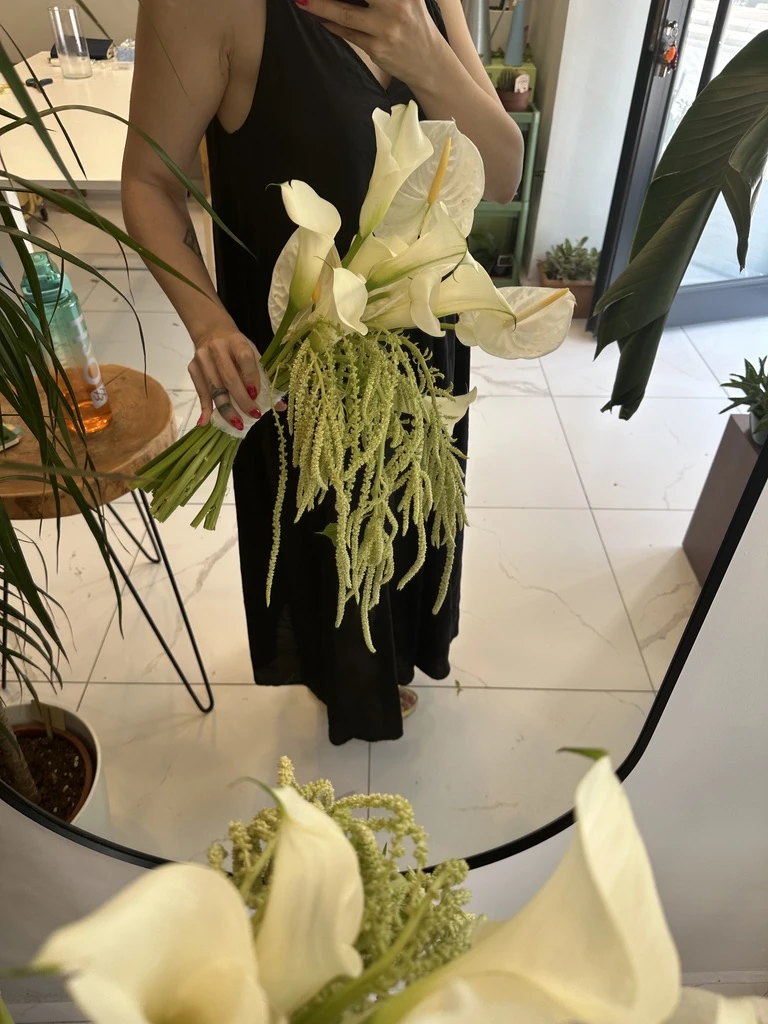 Gala, Anthurium, Amarantus