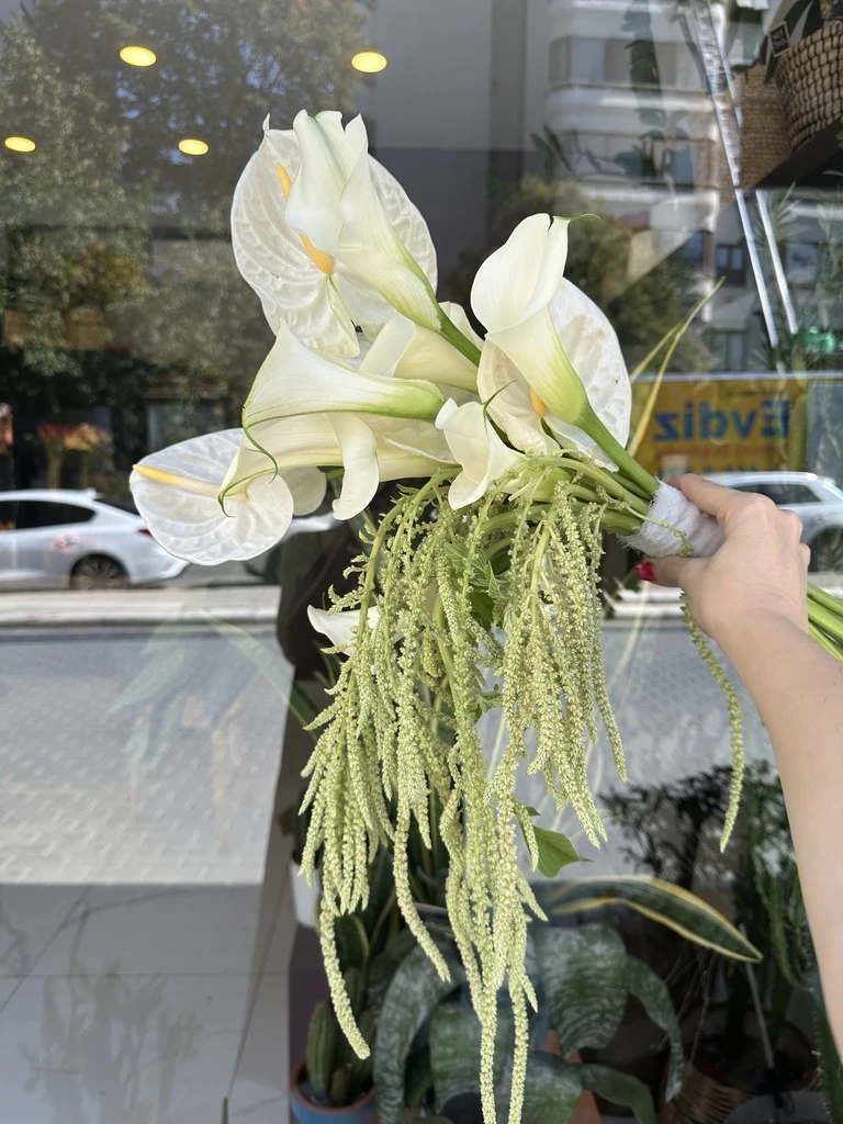 Gala, Anthurium, Amarantus