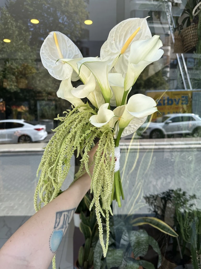 Gala, Anthurium, Amarantus