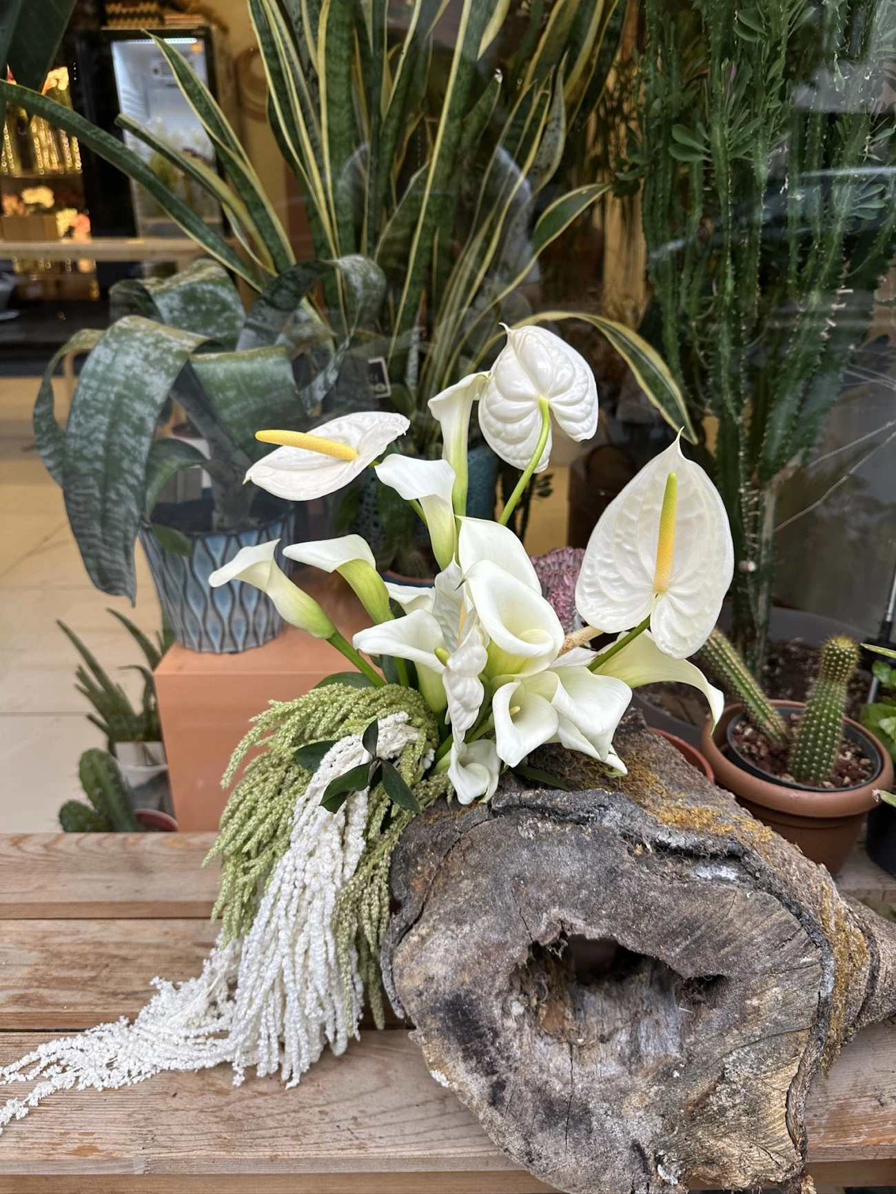 Gala, Anthurium, Amarantus2