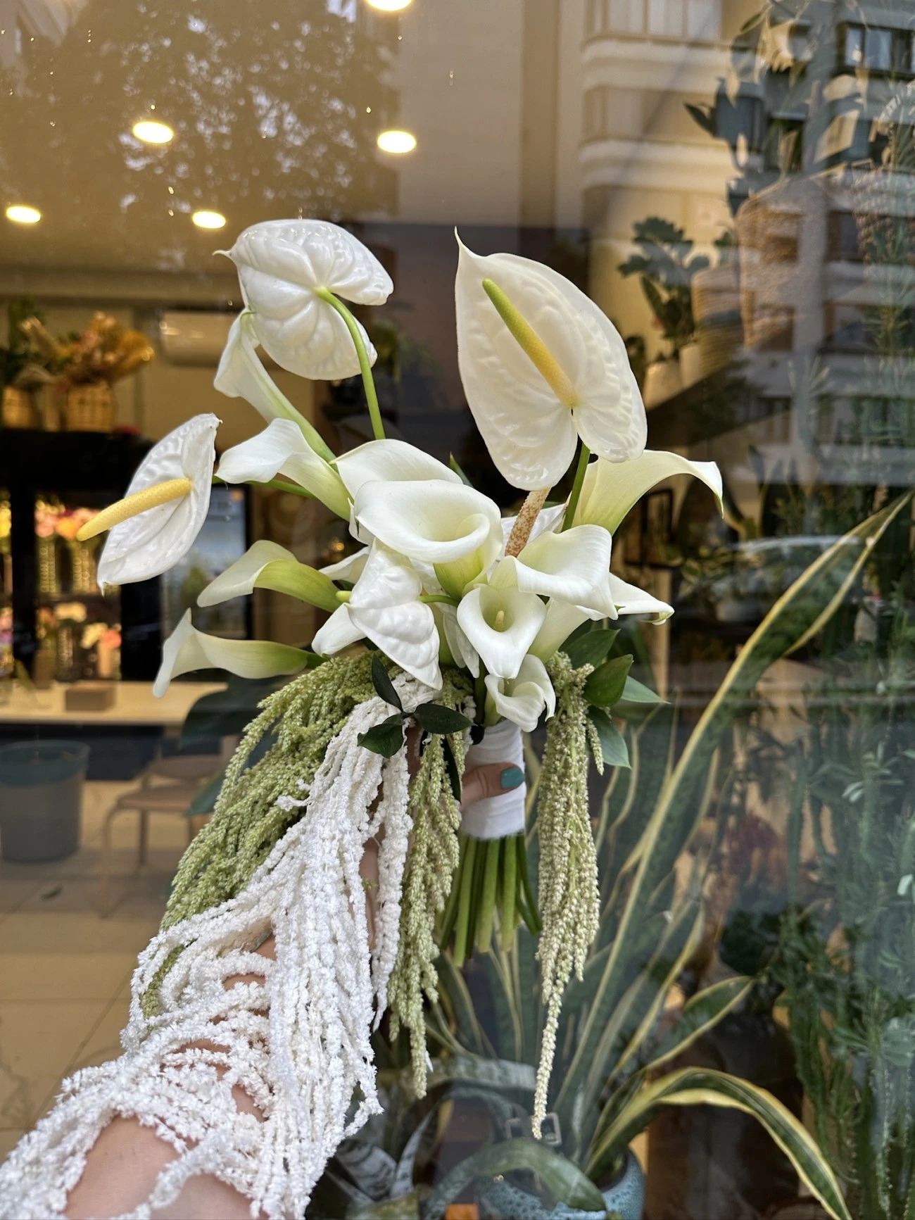 Gala, Anthurium, Amarantus2